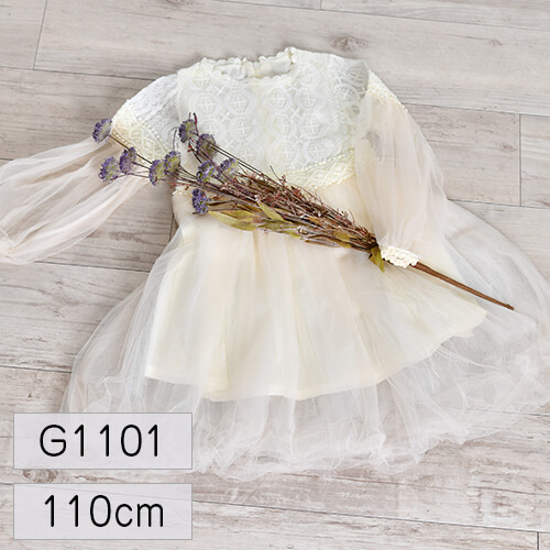 女の子 衣装レンタル G1101 110cm
