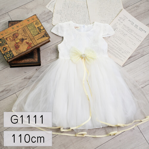 女の子 衣装レンタル G1111 110cm