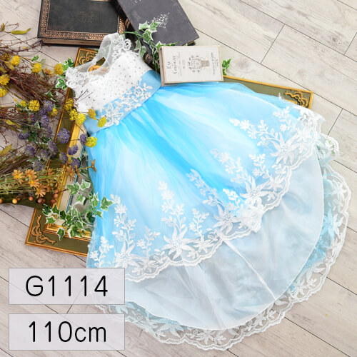 女の子 衣装レンタル G1114 110cm