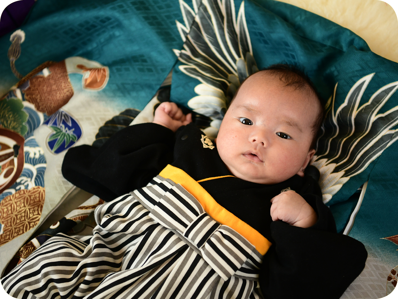 素敵な写真が沢山！