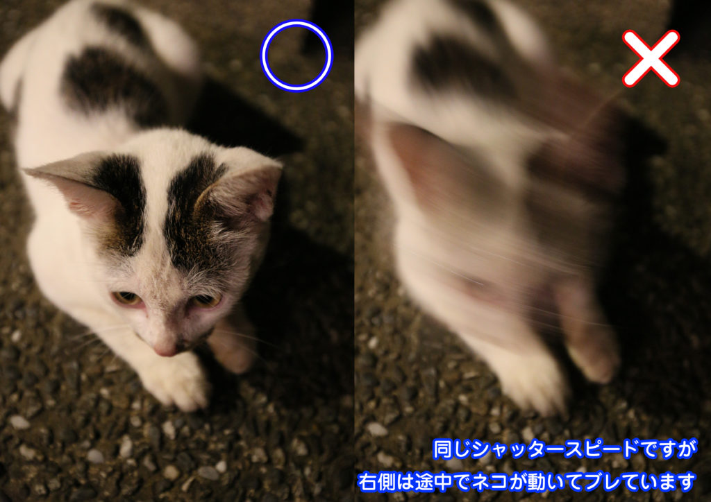 これでもうブレない シャッタースピードを知ろう フォトスタジオエル