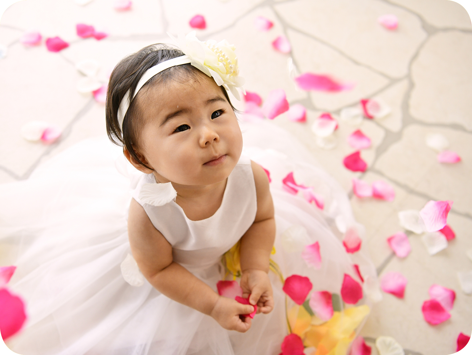 撮影がみんなの記念イベント