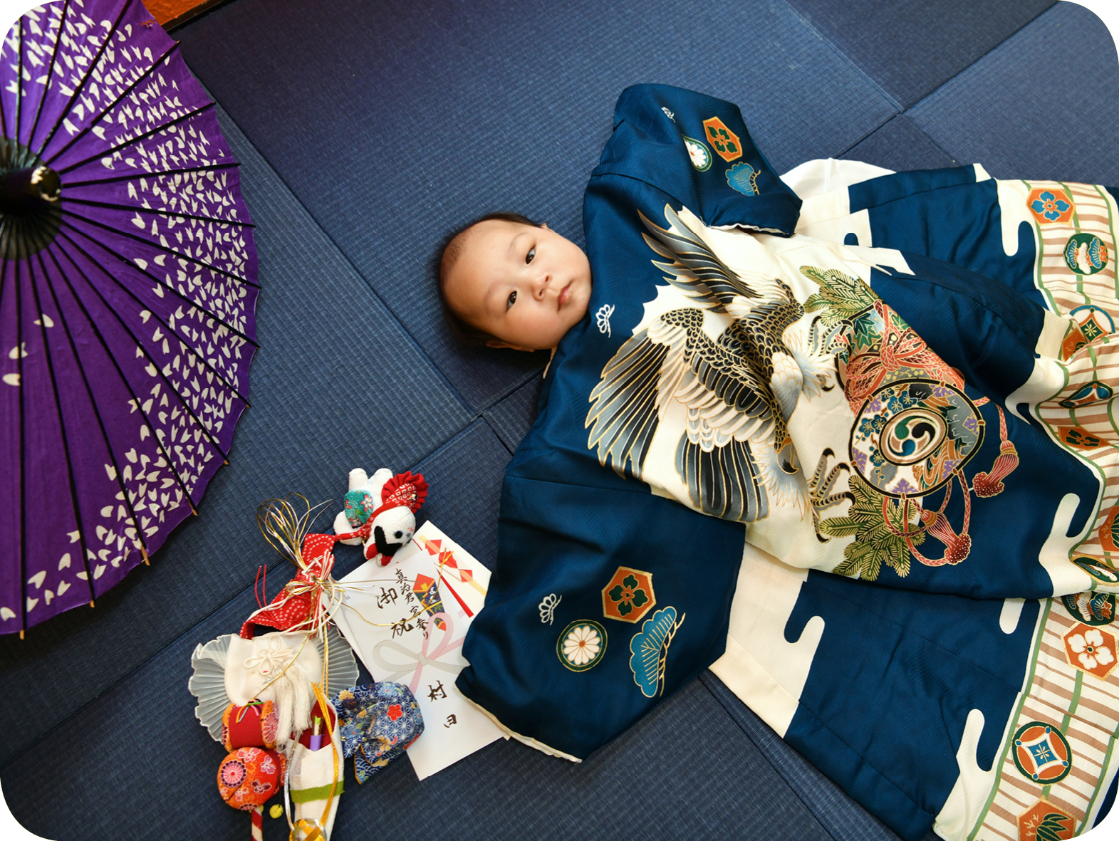 たくさんの素敵な写真