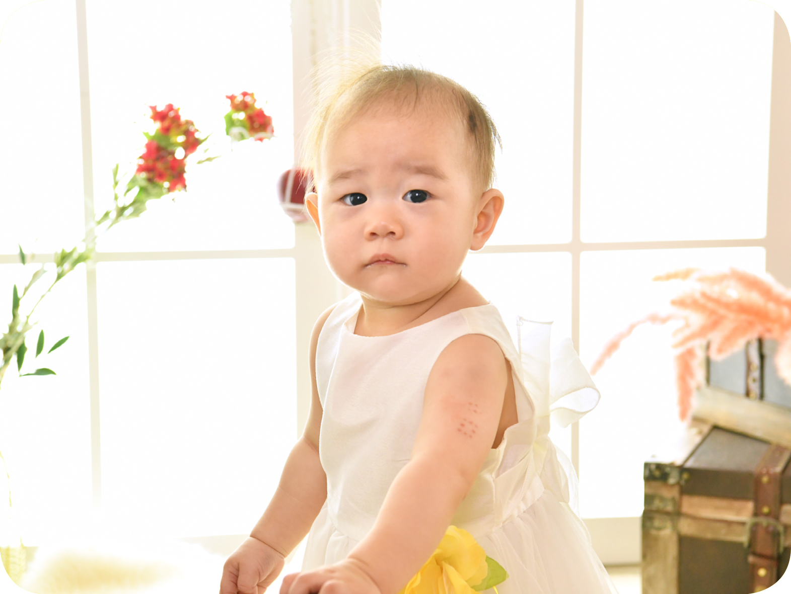 お得でおすすめ