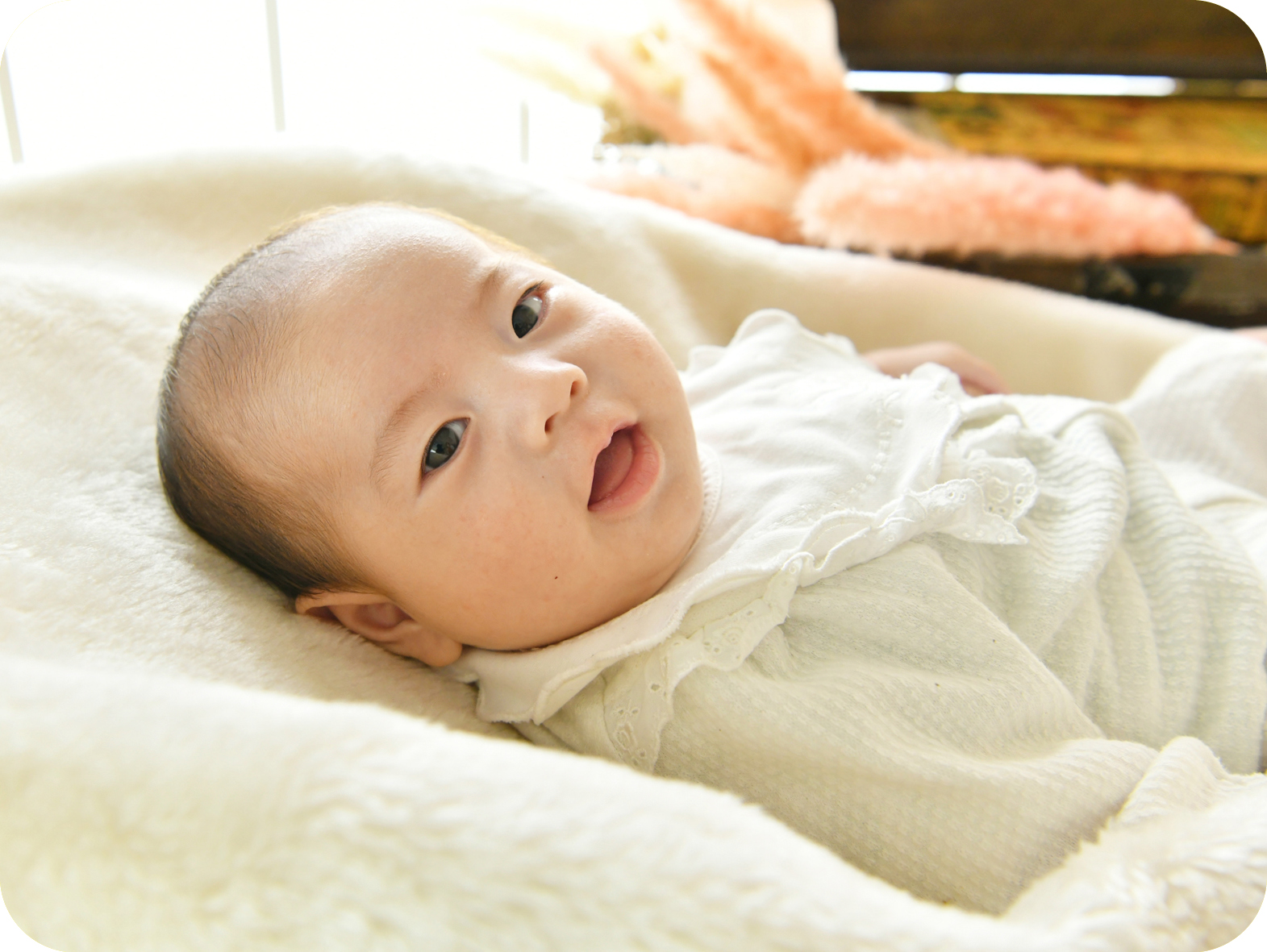 かわいい写真をたくさん撮ってもらいました