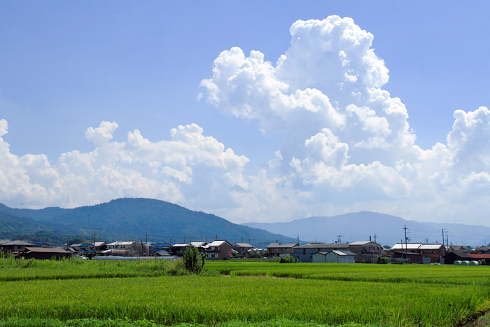 写真で楽しむ！夏休みの自由研究アイデア