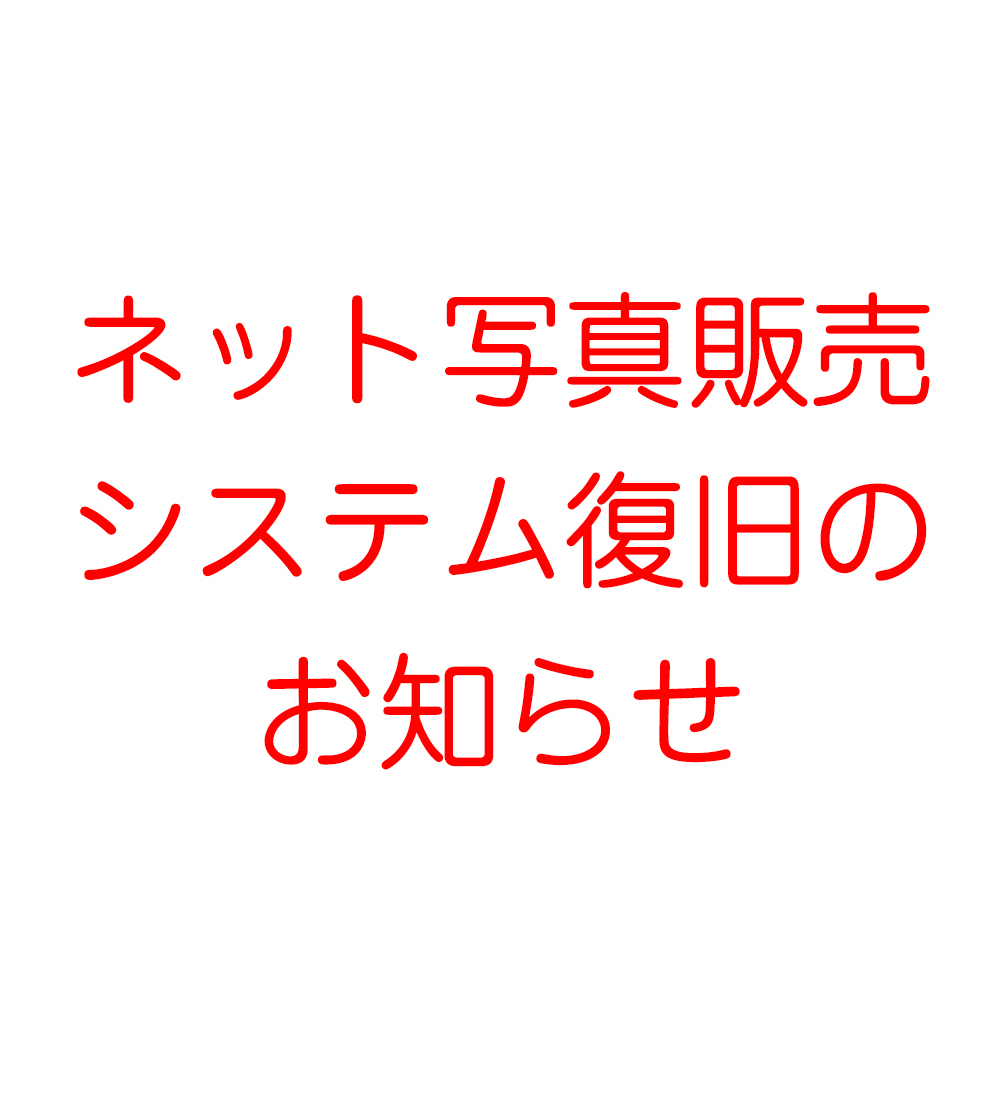 ネット写真販売 ①コンビニ後払い決済の不具合　②データダウンロードの不具合について(11/22 13時更新)